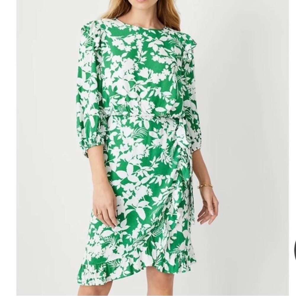 Ann Taylor Women's Green and White Dress